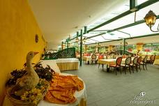 Hotel Grüner Baum - Giardino d'inverno